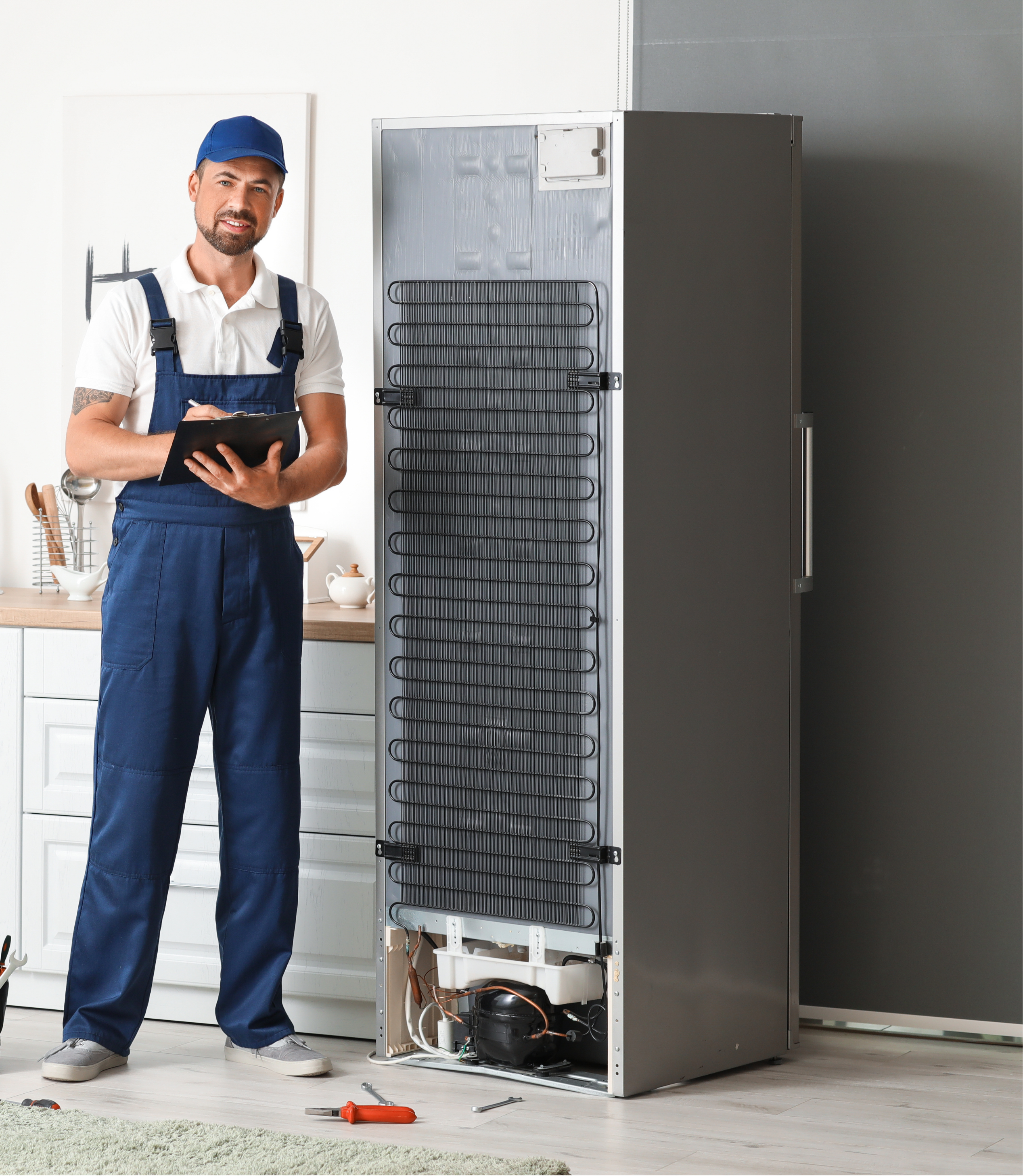 Fridge Repair